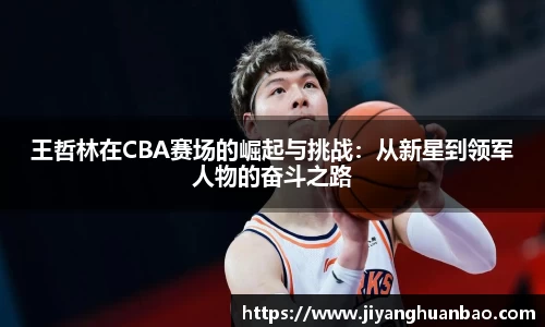 王哲林在CBA赛场的崛起与挑战：从新星到领军人物的奋斗之路